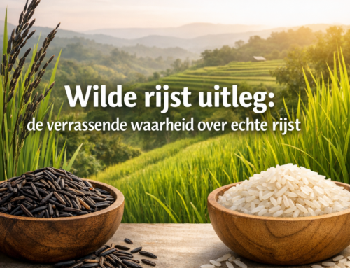 Wilde rijst uitleg: de verrassende waarheid over echte rijst
